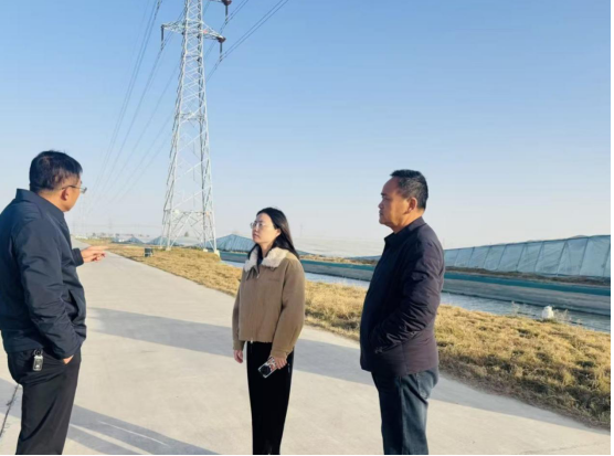 扬州高邮：聚焦特色产业审计，服务乡村振兴发展