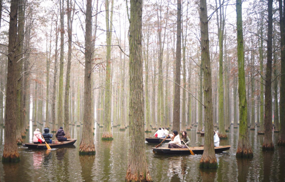 扬州市审计局开展妇女节户外踏青活动