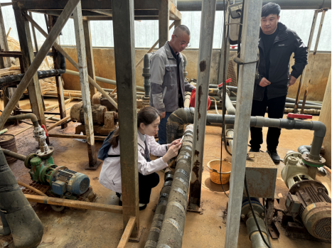 扬州审计关注城市垃圾管理情况